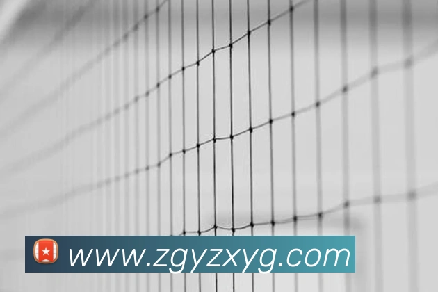 乐竞体育首页官网服务体系